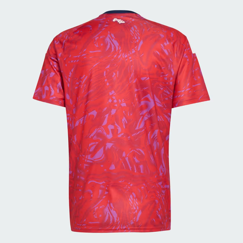 Costa Rica Home Jersey