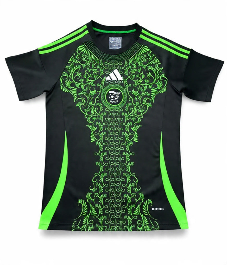 Algeria 2025 Away Special Edition Jersey